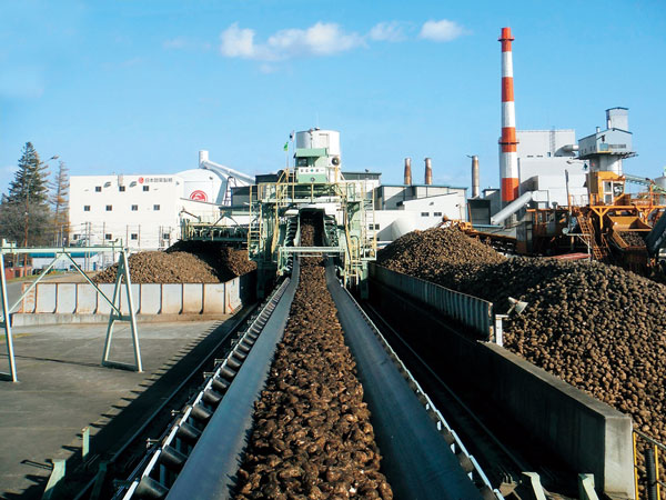 お砂糖（ビート糖）ができるまで