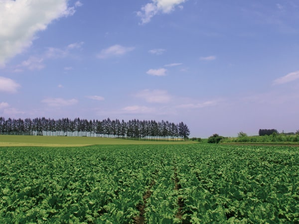 コーポレート・ガバナンス