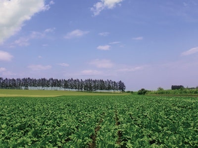 ガバナンス情報